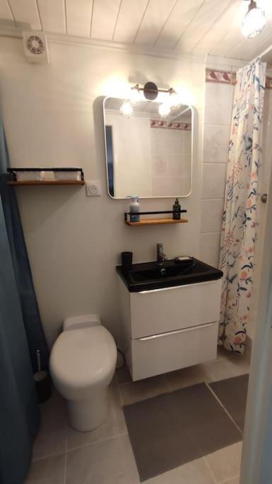 Appartement En Rez De Jardin Et Terrasse Ds Villa 耶尔 外观 照片